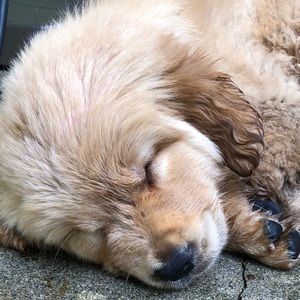 Meet your Posher, Colleen